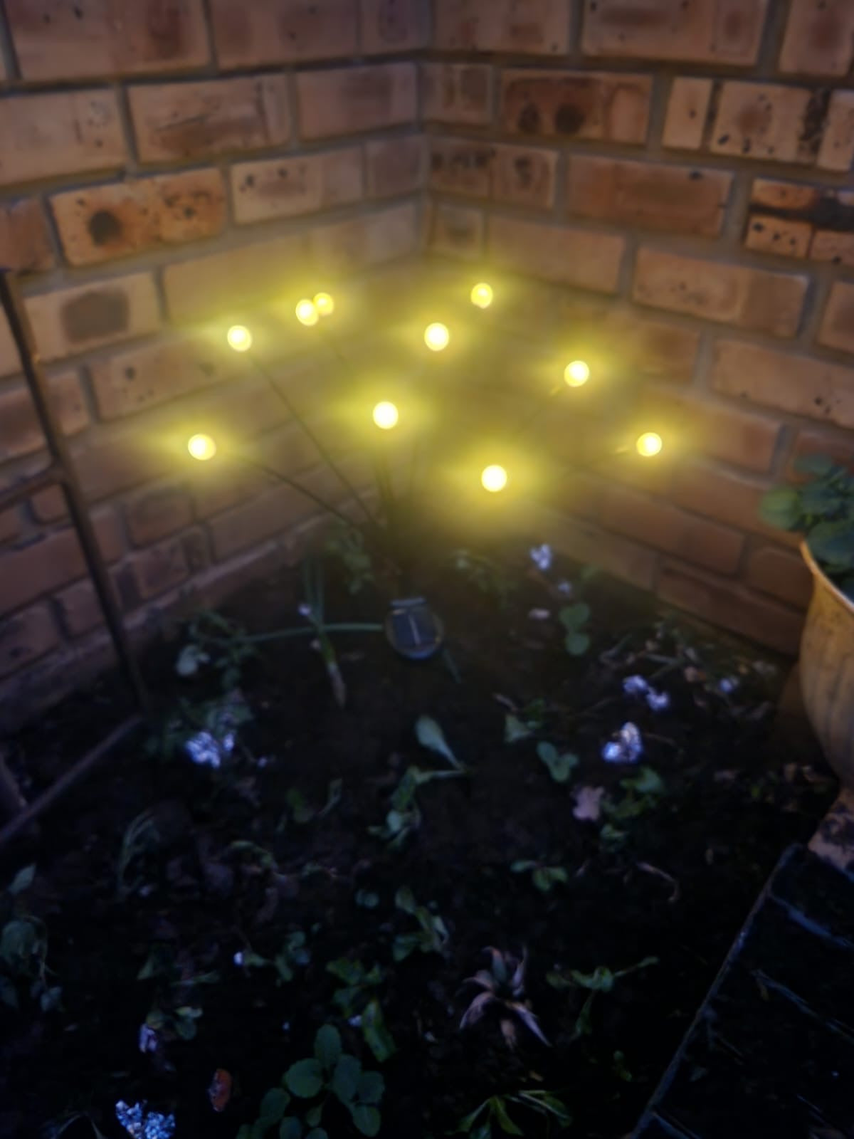 Solar powered garden lights 10 bulbs