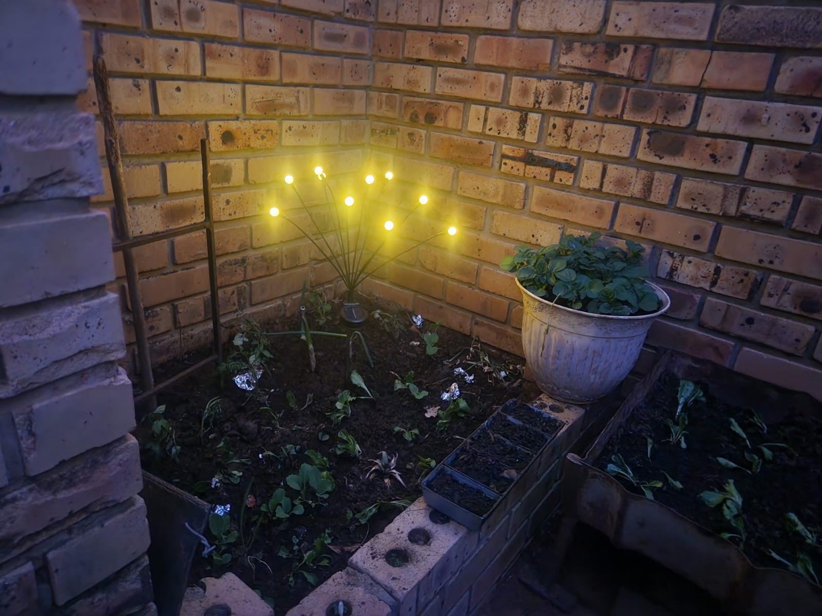 Solar powered garden lights 10 bulbs